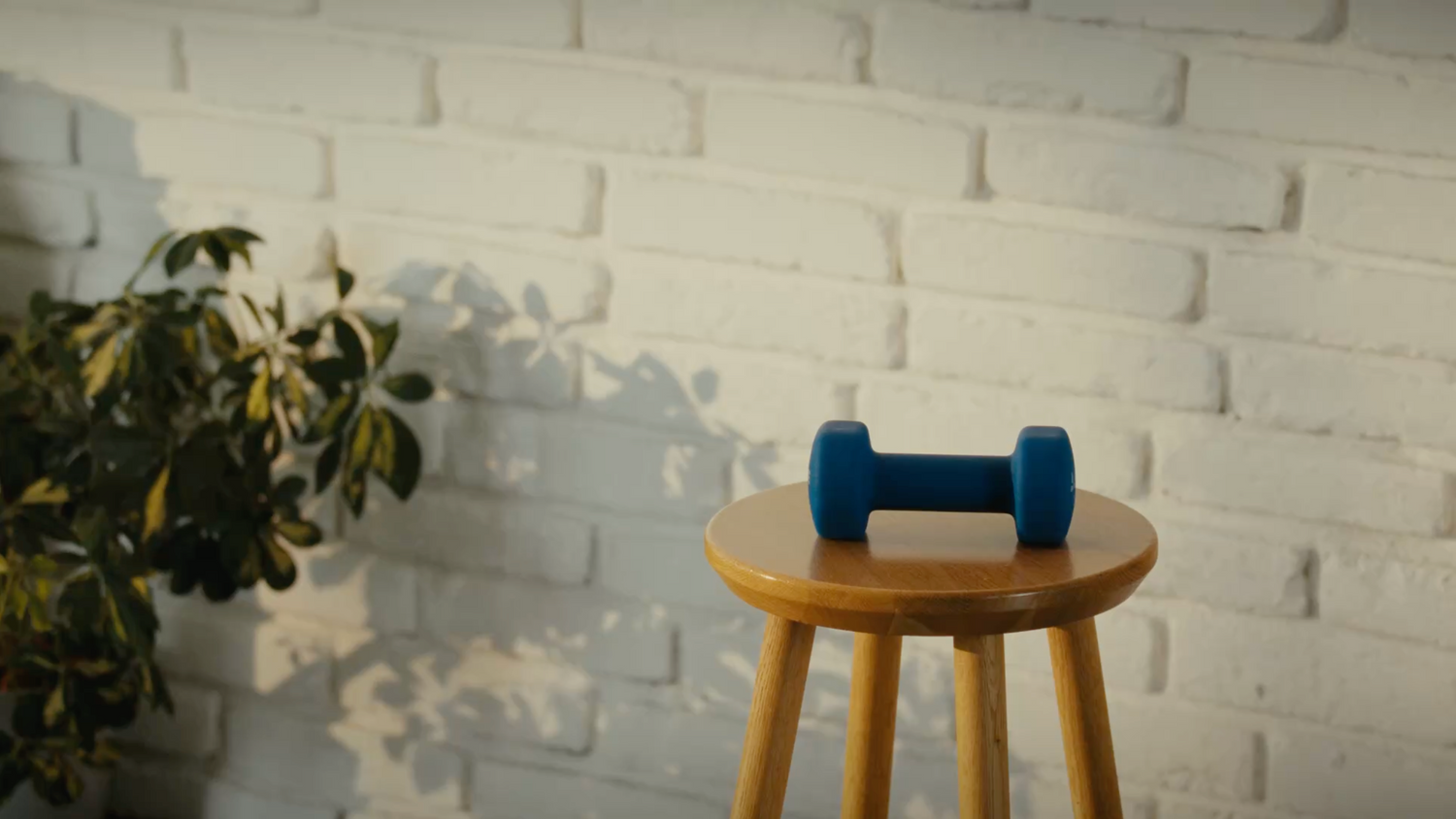 Traditional gym dumbbell contrasted with modern sculptural fitness equipment aesthetics