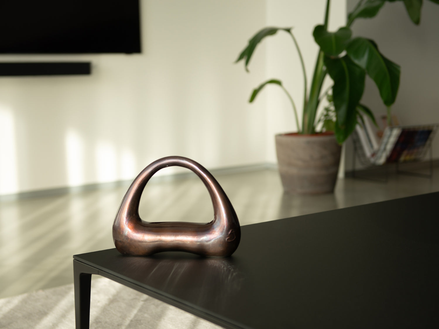 atomya kettlebell in interior
